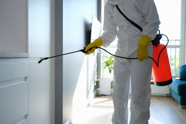 Best Mold Removal Process  in North Bend, OH